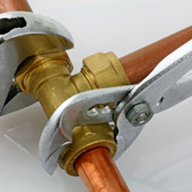 Services in Glen Ridge, FL